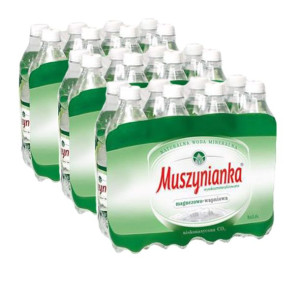 Muszynianka plus woda mineralna niskonasycona CO2 0,6 l x 24 sztuk