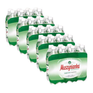 Muszynianka plus Naturalna woda mineralna niskonasycona CO2 0,6 l x40 sztuk