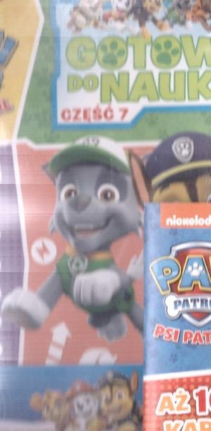 Megazestaw czterech książek Psi Patrol praca zbiorowa