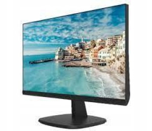 Monitor Led Hikvision Ds-d5024fn/eu 22 " Tn