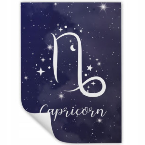 DUŻY Plakat Obraz 90x60 ZNAKI ZODIAKU Wiele Wzorów