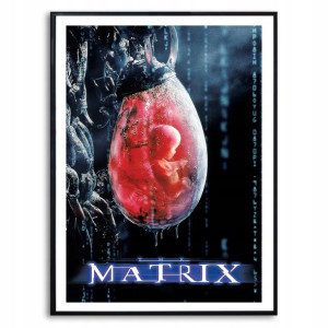 PLAKAT 32x45cm FILMOWE HITY MATRIX Wiele Wzorów