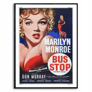 PLAKAT Obraz 32x45cm RETRO Vintage Wiele WZORÓW