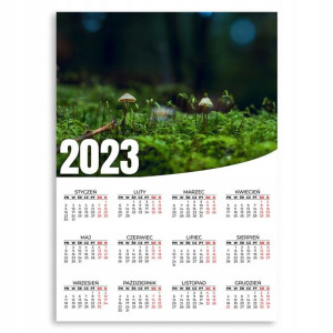 Kalendarz Ścienny 2023 Rok XL 50x70cm Natura Wzory