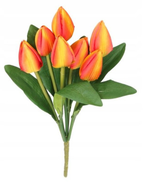 Tulipany Bukiet Tulipanów Tulipan 44cm 7gał