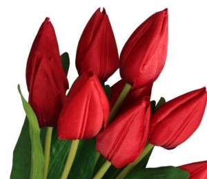Tulipany Bukiet Tulipanów Tulipan 45cm 9gał