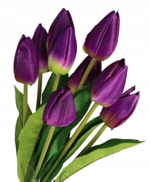 Tulipany Bukiet Tulipanów Tulipan 45cm 9gał