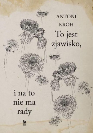 To jest zjawisko. I na to nie ma rady Kroh Antoni