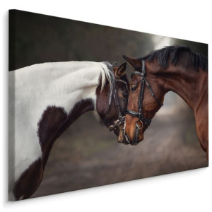 Obraz Do Salonu Canvas KONIE Zwierzęta Natura Las Dekoracja Ścienna 40x30