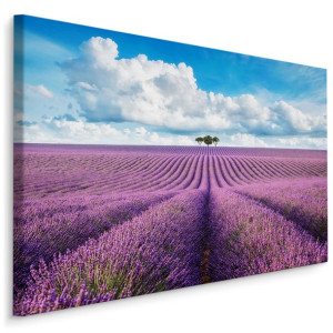 Obraz Do Salonu Lawendowe Pole Pejzaż 3D KWIATY Natura Ozdoba 40x30