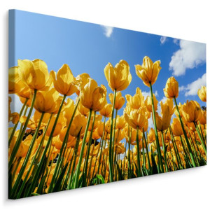 Obraz ŻÓŁTE Tulipany Widok z Dołu Dekoracja Pole Natura 3D 100x70