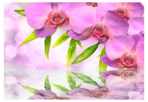 Fototapeta - Orchidee w kolorze lila [Rozmiar: 400X280]