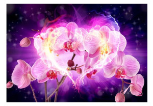 Fototapeta - Orchidee w płomieniach [Rozmiar: 400X280]