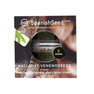Nasiona Konopi Indyjskiej Kali Mist Venenoseeds Northern Light X Secret