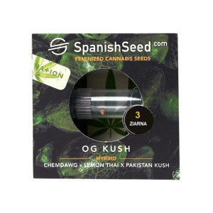 Nasiona Konopi Indyjskiej Og Kush Chemdawg X Lemon Thai X Pakistan Kush