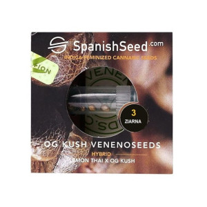 Nasiona Konopi Indyjskiej Og Kush Venenoseeds Lemon Thai X Og Kush