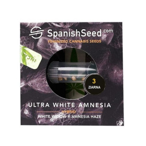 Nasiona Konopi Indyjskiej Ultra White Amnesia White Widow X Amnesia Haze