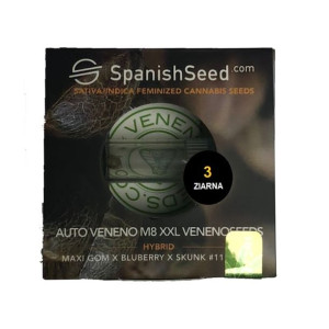 Nasiona Konopi Indyjskiej Auto Veneno M8 Xxl Venonoseeds Maxi Gom X Blueber