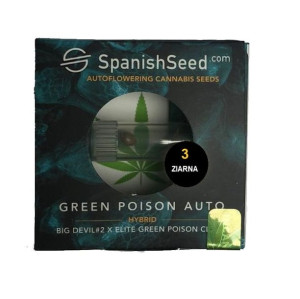 Nasiona Konopi Indyjskiej Green Poison Auto Big Devil#2 X Elite Green Poiso