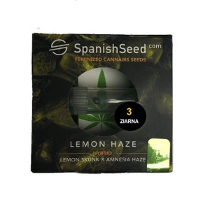 Nasiona Konopi Indyjskiej Lemon Haze Lemon Skunk X Amnesia Haze