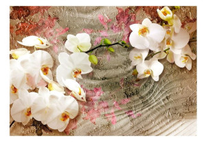 Fototapeta - Pustynna orchidea [Rozmiar: 400X280]