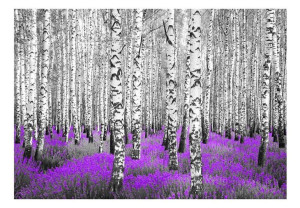 Fototapeta - Purpurowy azyl [Rozmiar: 400X280]