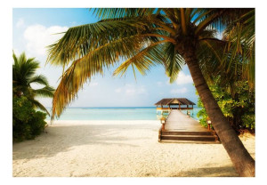 Fototapeta - Rajska plaża [Rozmiar: 400X280]