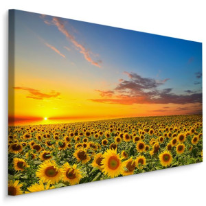 Obraz Do Salonu Canvas ZACHÓD SŁOŃCA Słoneczniki Pejzaż 3D 40x30