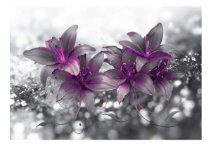 Fototapeta - Sekret lilii [Rozmiar: 400X280]