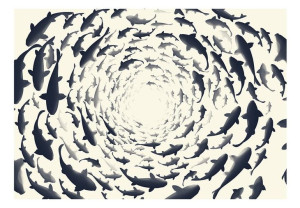 Fototapeta - Rybie zawirowanie [Rozmiar: 400X280]