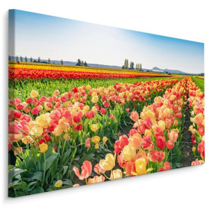 Obraz Do Jadalni Canvas Kwiaty Pole Kolorowych Tulipanów PEJZAŻ 3D 100x70