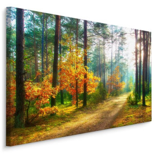 Obraz Do Salonu Wschód Słońca LAS Jesień Natura Drzewa Ozdoba 100x70