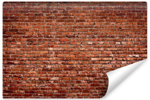 Fototapeta Do Salonu Czerwony Mur CEGŁA Efekt 3D 300cm x 210cm