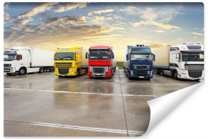Fototapeta Ścienna Dla Młodzieży CIĘŻARÓWKI TIR 3D Pojazdy 450cm x 300cm