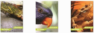 Brulion A5 80k kratka Biologia Int. p5, cena za 1szt.