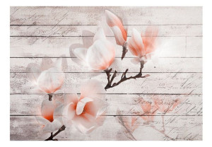 Fototapeta - Subtelność Magnolii [Rozmiar: 400X280]