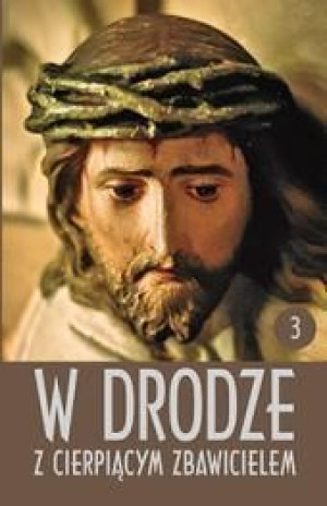 W drodze z cierpiącym Zbawicielem. Tom III ks. Dionizy Pietrusiński