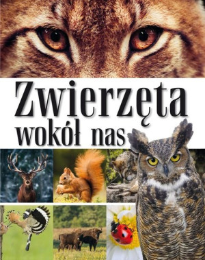 Zwierzęta wokół nas. Encyklopedia dla dzieci praca zbiorowa
