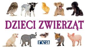 Dzieci zwierząt praca zbiorowa