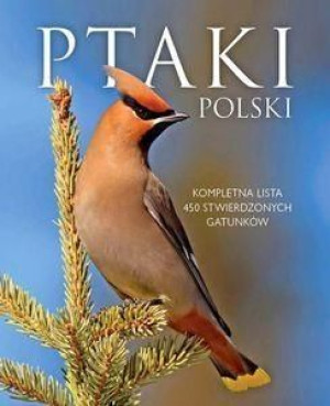 Ptaki Polski w.2015 SBM Dominik Marchowski