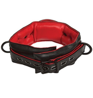 Kink Leather Handler's Collar