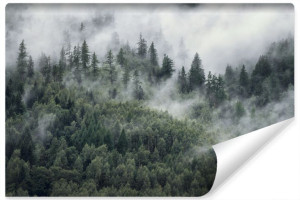 Fototapeta Do Salonu Mglisty Górski LAS 3D Natura Krajobraz 90cm x 60cm