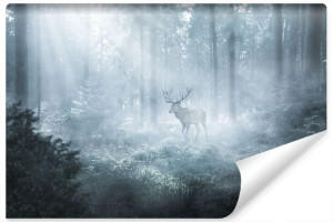 Fototapeta Do Salonu Las we Mgle JELEŃ 3D Natura 405cm x 270cm