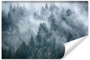 Fototapeta Do Sypialni Mglisty Las GÓRY Drzewa 3D Pejzaż 400cm x 280cm