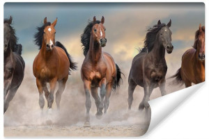 Fototapeta Do SAlonu GALOPUJĄCE Konie Natura 3D Zwierzęta 405cm x 270cm
