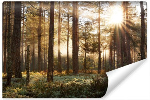Fototapeta Do Sypialni LAS Wschód Słońca Natura Ozdoba 135cm x 90cm