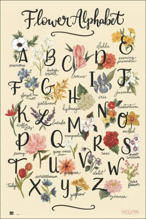 ABC Kwiatów - plakat 61x91,5 cm