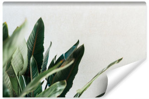 Fototapeta do Salonu Tropikalne Liście 3D 180cm x 120cm