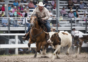 Calf roping at Cheyenne, Wyoming’s, annual Frontier Days rodeo., Carol High