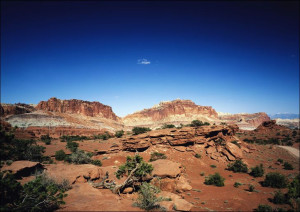 Capitol Reef National Park, Utah. Old Mammoth Road., Carol Highsmith - plak